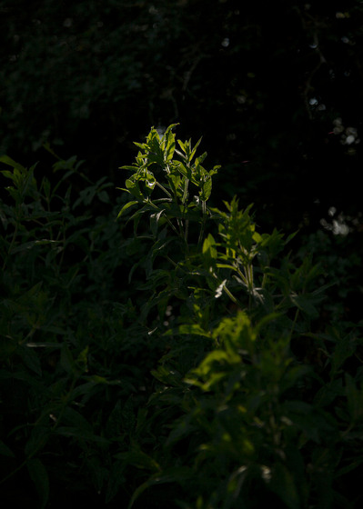 Images from a personal photography project by Mark Griffiths entitled An incremental demise shot around the U.K about the loss of green space.