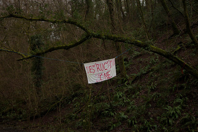Images from a personal photography project by Mark Griffiths entitled An incremental demise shot around the U.K about the loss of green space.