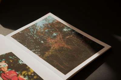 Images from a personal photography project by Mark Griffiths entitled An incremental demise shot around the U.K about the loss of green space.