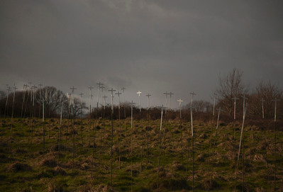 Images from a personal photography project by Mark Griffiths entitled An incremental demise shot around the U.K about the loss of green space.
