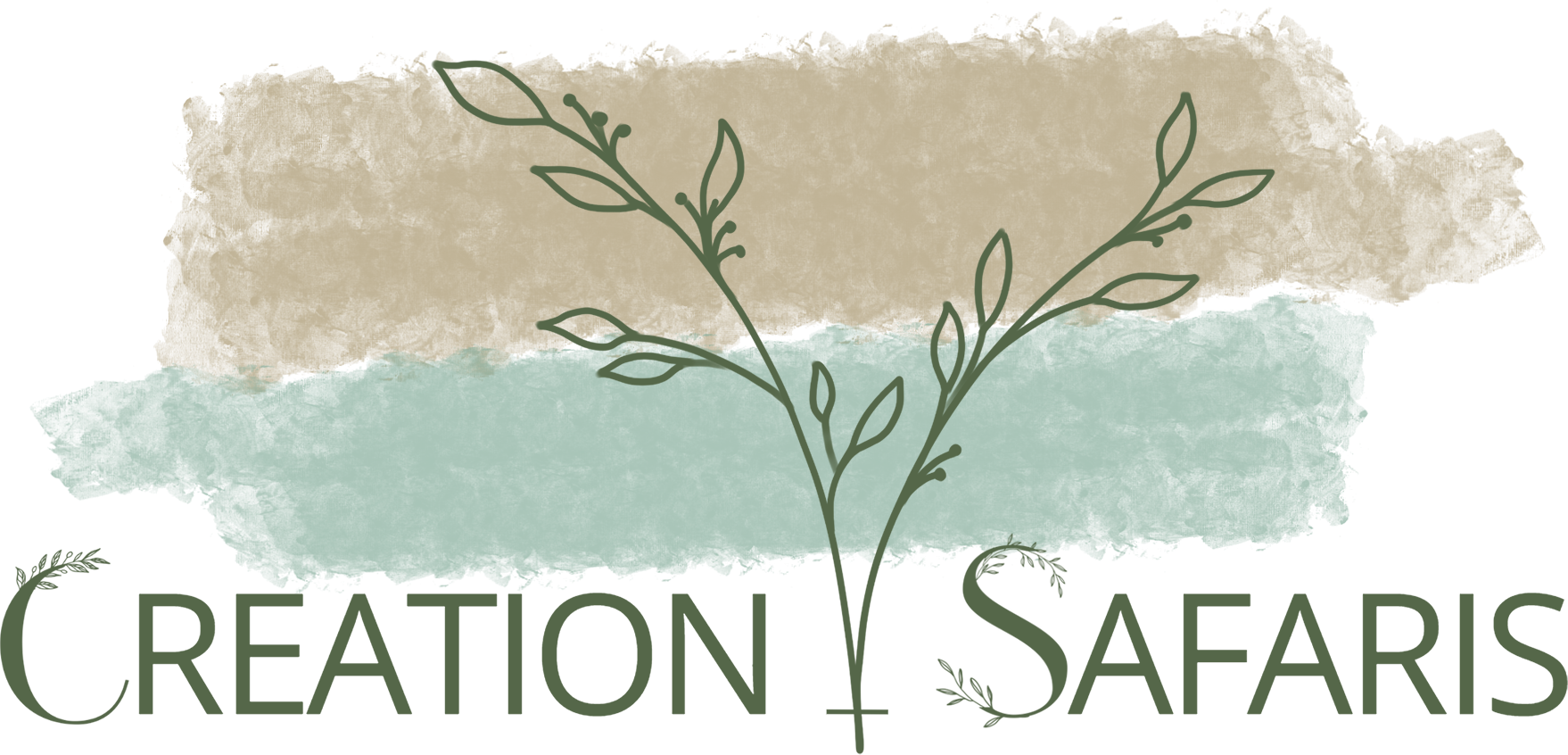Creation Safaris's Portfolio