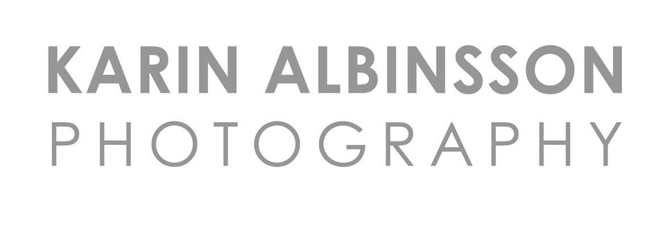 Karin Albinsson's Portfolio