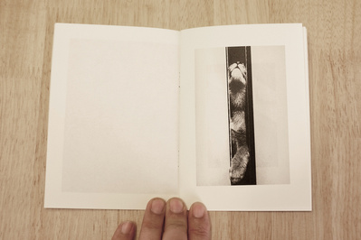 Detalle del libro 3 David Salcedo