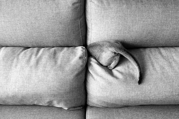 11, David Salcedo, fotografía, photographer, photography, fotógrafo, silencio, silence