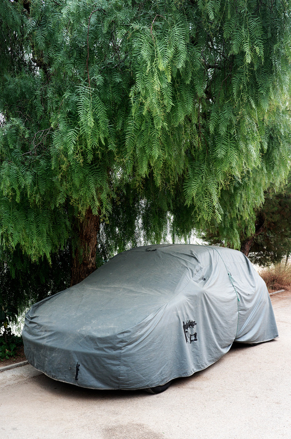 Coche tapado con tela protectora bajo un sauce David Salcedo