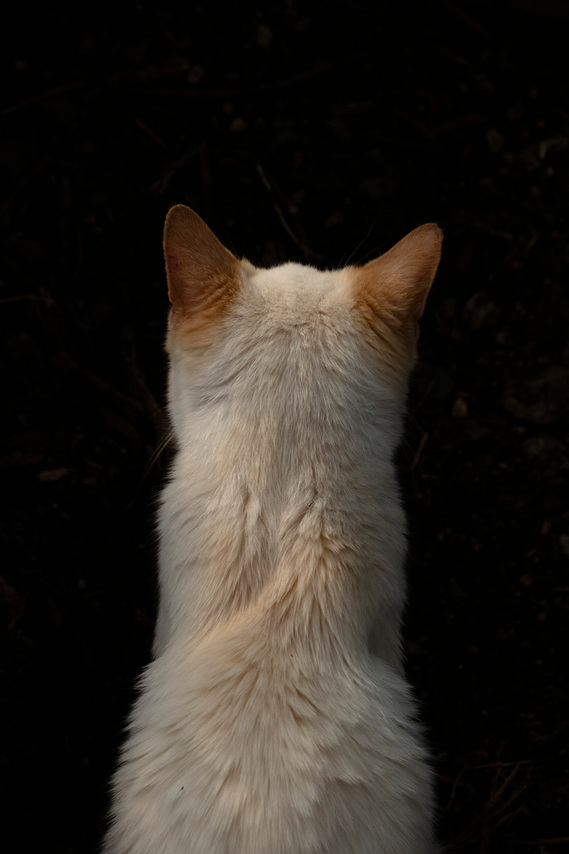 Fotografía de Maied Urrutia Parra