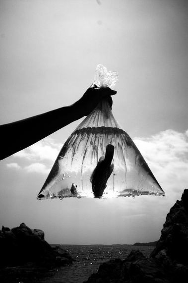 David Salcedo, fotografía, arte, fotógrafo, luz color, blanco y negro, narrativa visual, edición fotográfica, cursos, composición
