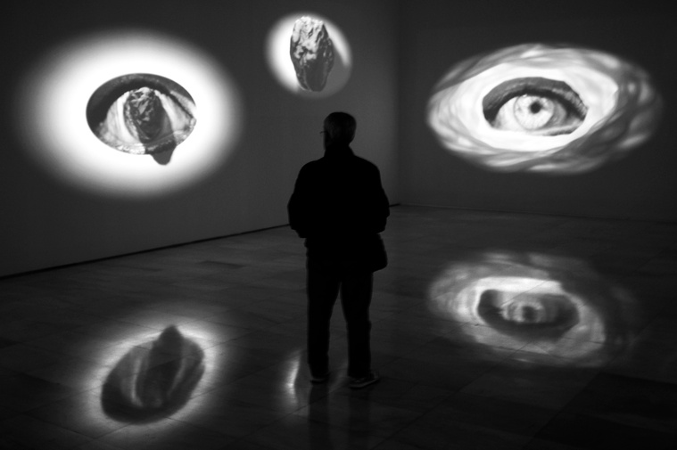 11, David Salcedo, fotografía, photographer, photography, fotógrafo, silencio, silence