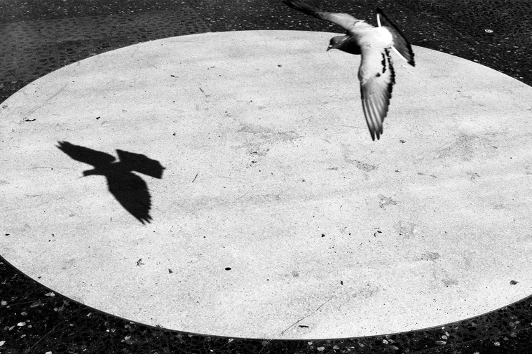 11, David Salcedo, fotografía, photographer, photography, fotógrafo, silencio, silence, 