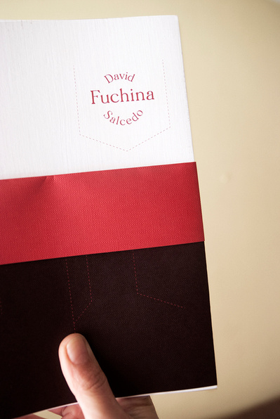 Detalle del libro Fuchina David Salcedo