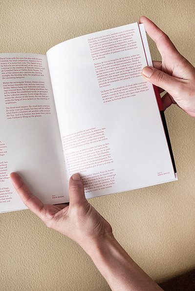 Detalle del libro Fuchina David Salcedo
