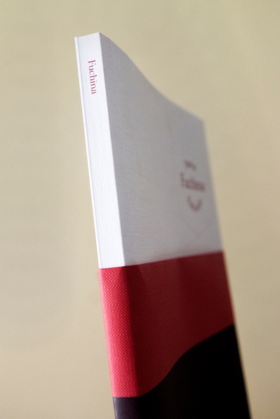 Detalle del libro Fuchina David Salcedo