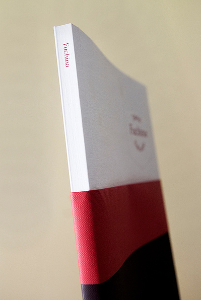 Detalle del libro Fuchina David Salcedo