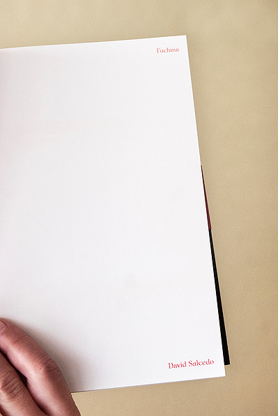 Detalle del libro Fuchina David Salcedo