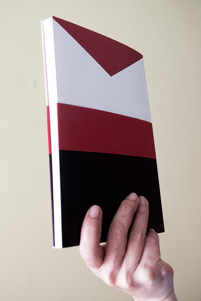 Detalle del libro Fuchina David Salcedo
