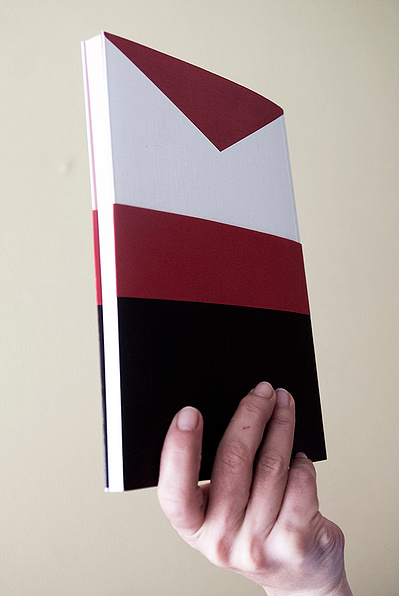 Detalle del libro Fuchina David Salcedo