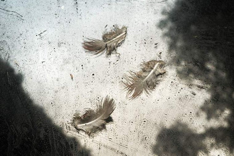 11, David Salcedo, fotografía, photographer, photography, fotógrafo, silencio, silence, 