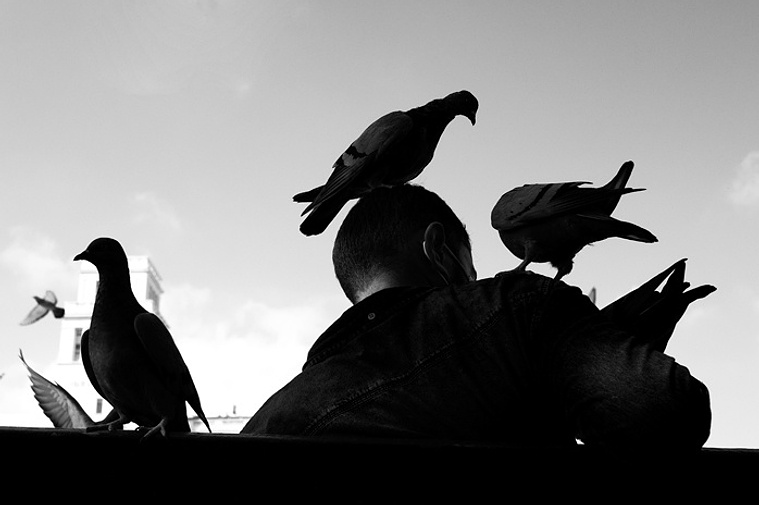 Persona y palomas en la plaza Catalunya de Barcelona  David Salcedo