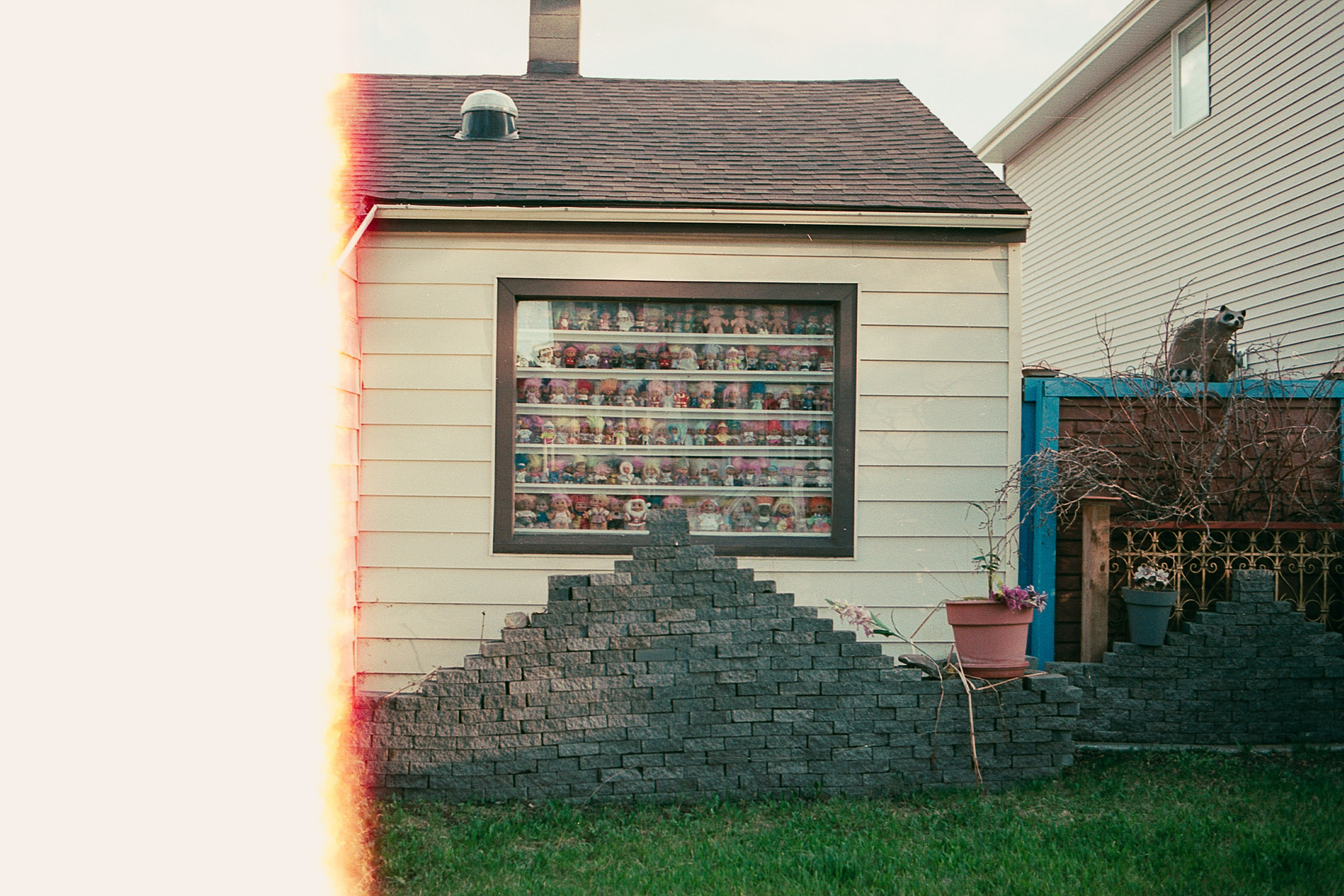 Fujifilm Superia Fuji X-TRA 400 Film