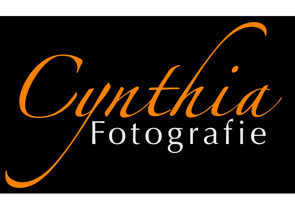 Op zoek naar een professioneel fotograaf?