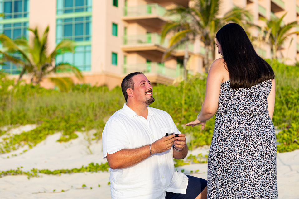 Young Man proposing on Bended Knee at Atlantis Paradise Island, Nassau Bahamas.