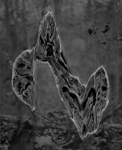 Lemon, 2015
Archival Pigment Print
50 x 40 inches
Chelsea Polk
scanner art