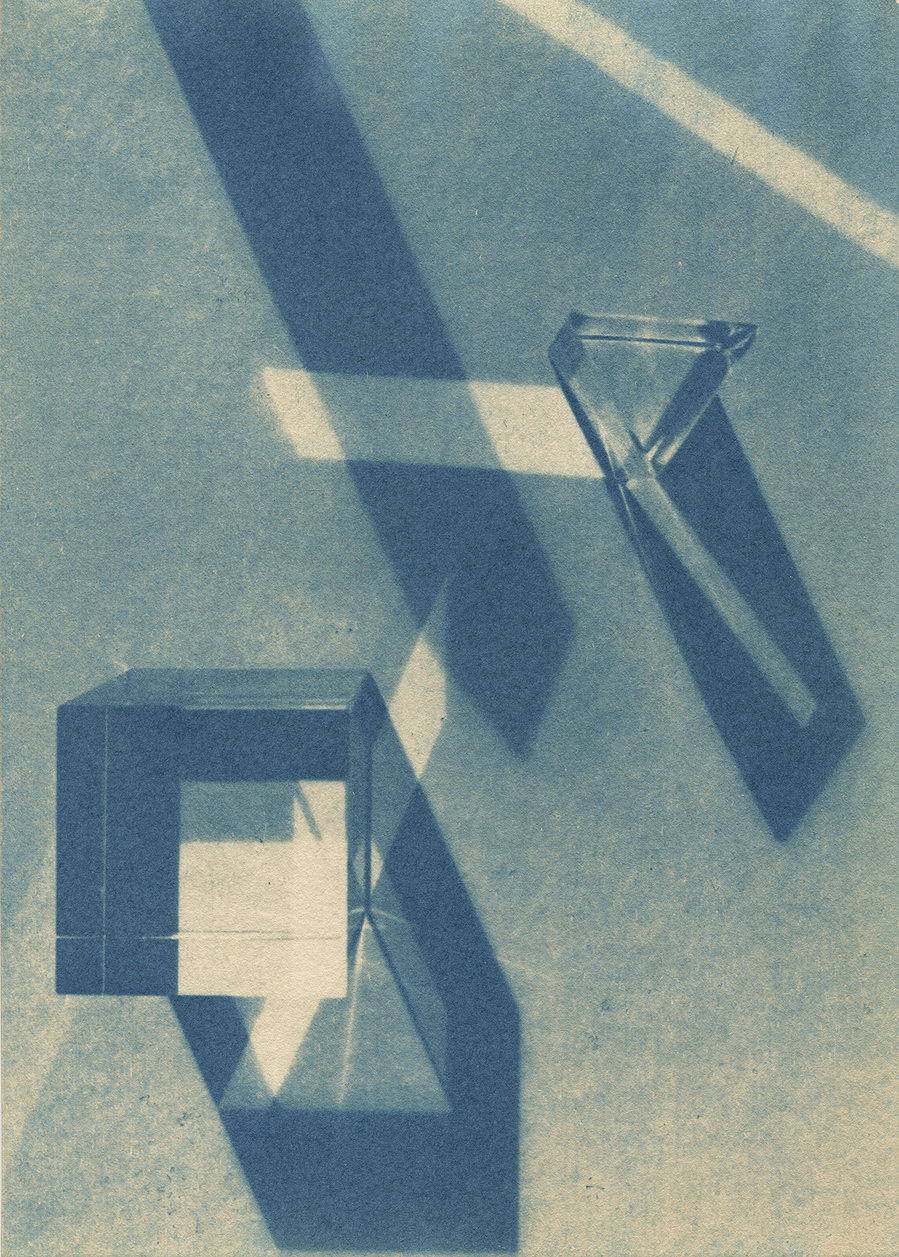 Cyanotype toned with black tea 