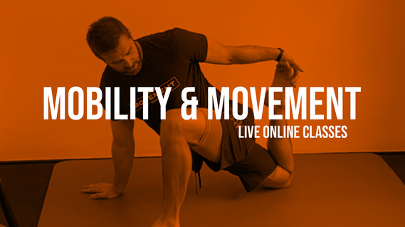 Over 60's MOVEMENT & MOBILITY Workout