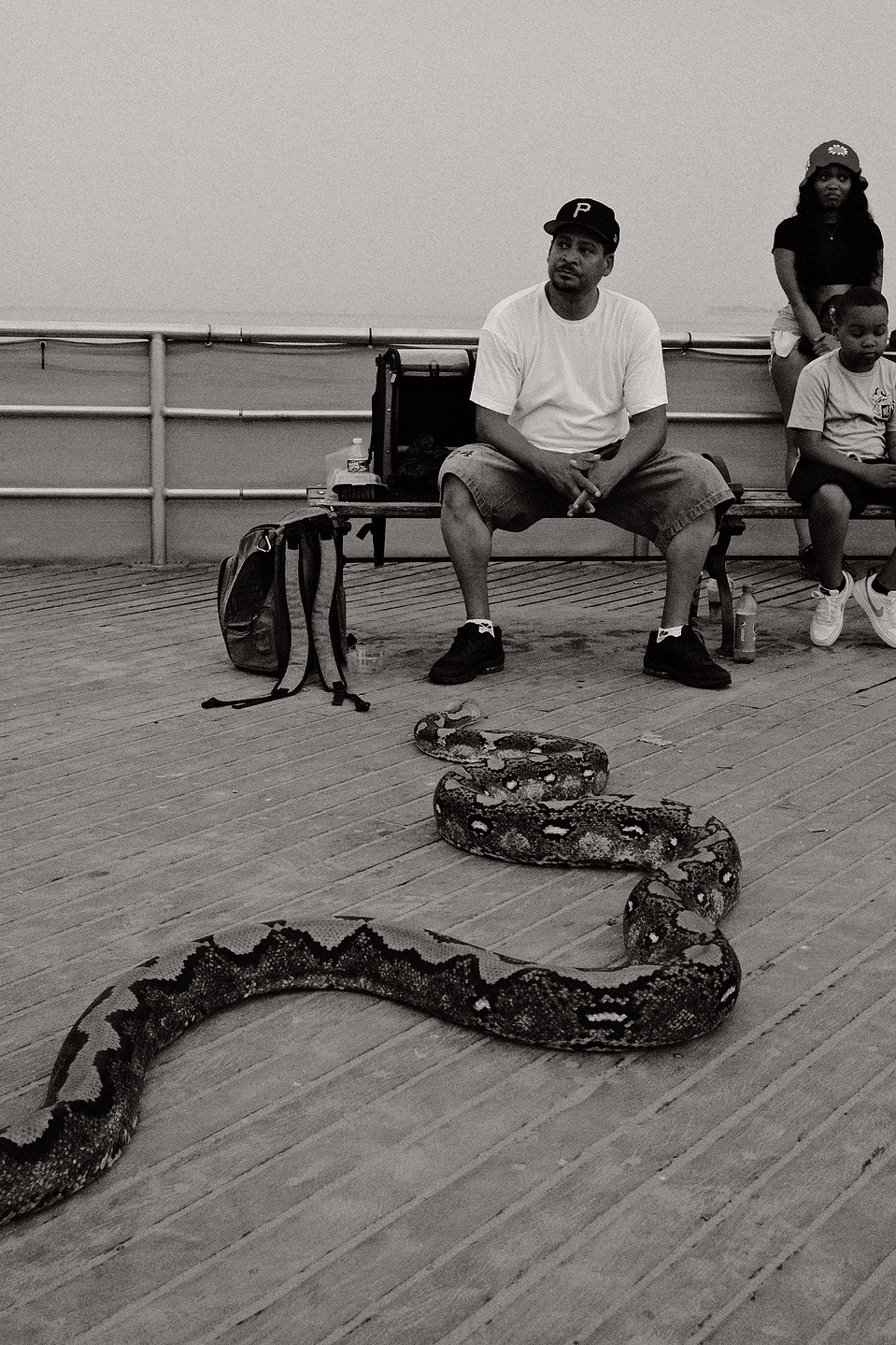 A snake creeping up on someone on a park bench