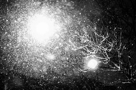 Light coming through the snow and lit by a street lamp in Brooklyn NY