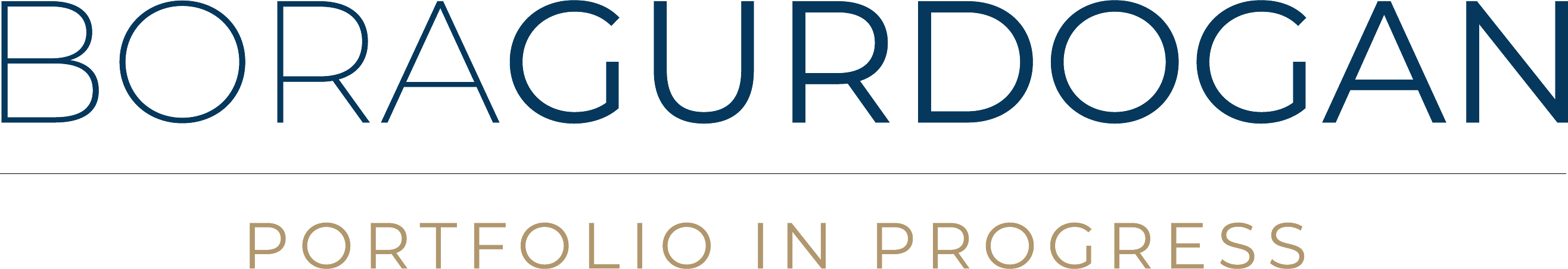 Bora Gurdogan's Portfolio
