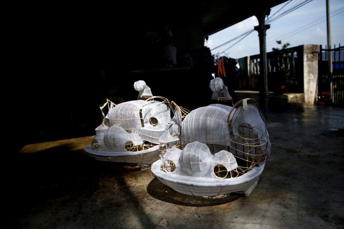 Lion dance tradition thrives in Malaysia by Joshua Paul