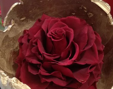 glamélia rose stabilisée fleur stabilisée