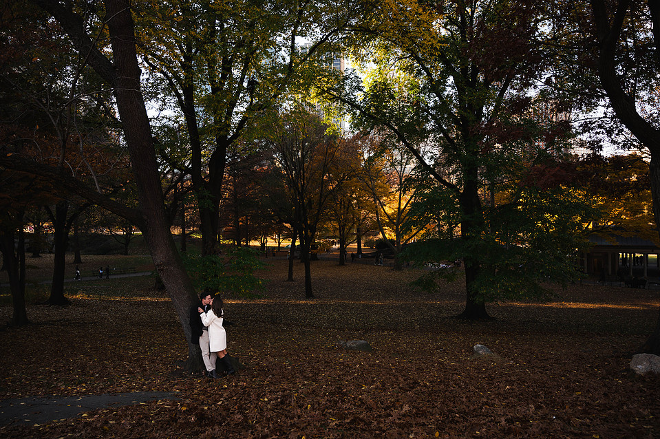 Couple embracing under trees in Central Park during NYC engagement session