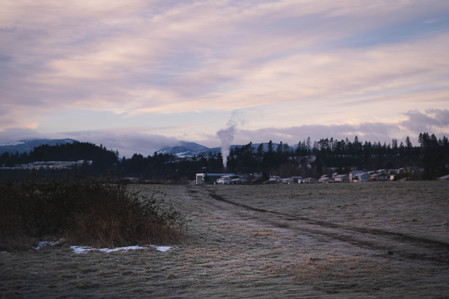 Steam and offgas from Nanaimo Veneer Mill.