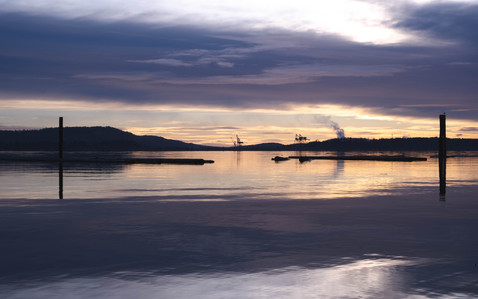 Duke Point across the glassy-looking harbour.