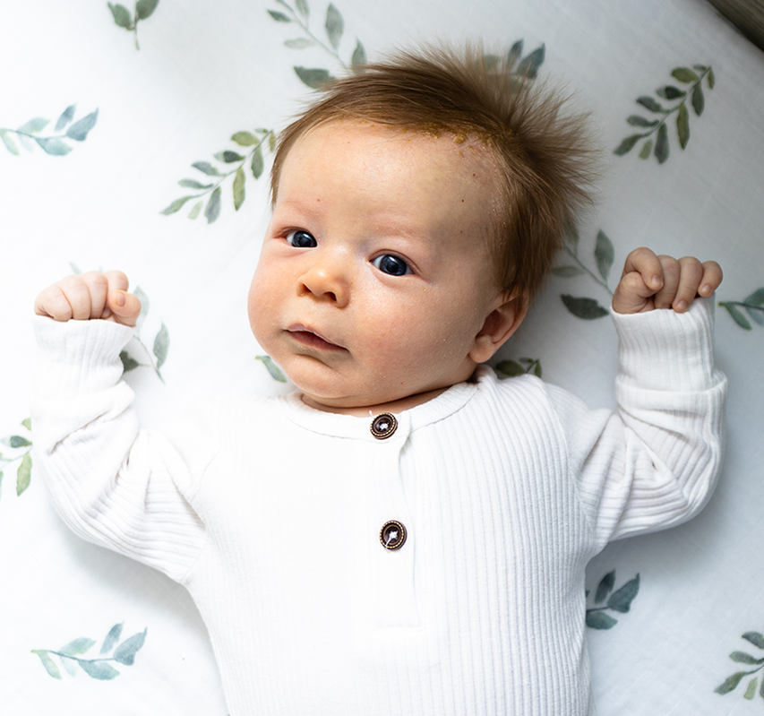 New-Jersey-Family-Portrait-Photographer-Pennington-Princeton-Creative-Headshots-Wedding-Branding 