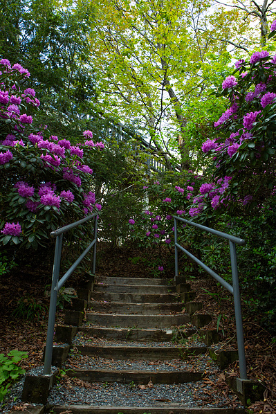 The Blowing Rock, NC