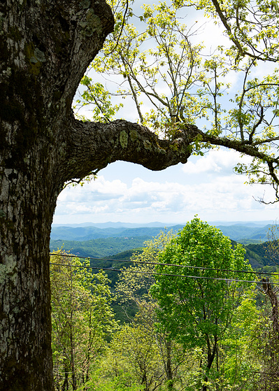 The Blowing Rock, NC