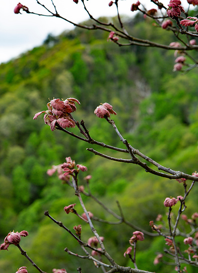 The Blowing Rock, NC