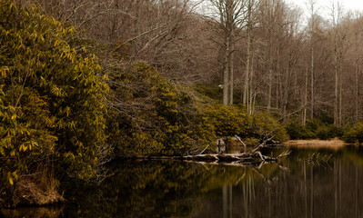 Blue Ridge Parkway, NC