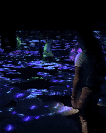 Tiffany Kennedy at the Memory of Topography, teamLab Borderless, Tokyo
