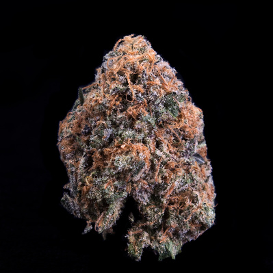 Vermont Cannabis Product Photographer, Vermont Cannabis Flower Photography by Kevin Michael Smith. Legal cannabis, Vermont Cannabis growers, pot photography, bud, weed photography, POTographer. Legal Weed. Strain Mumbler OG, Hybrid Cannabis.
