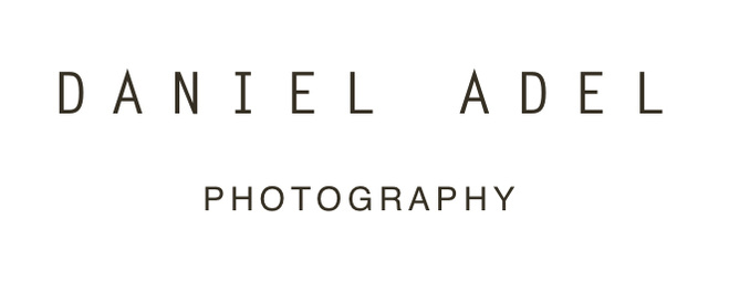 Daniel Adel's Portfolio