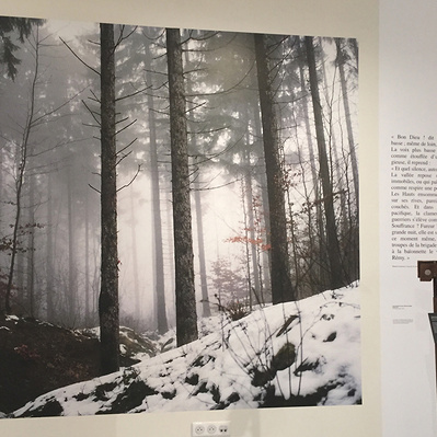 First world war memory project "Comme On Peut" exhibited in Verdun Memorial in 2017.