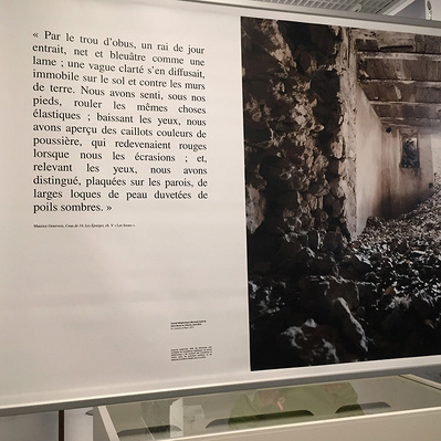 First world war memory project "Comme On Peut" exhibited in Verdun Memorial in 2017.