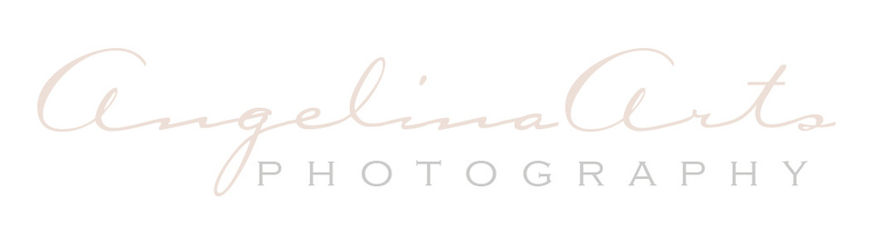 Angelina Arts Photography