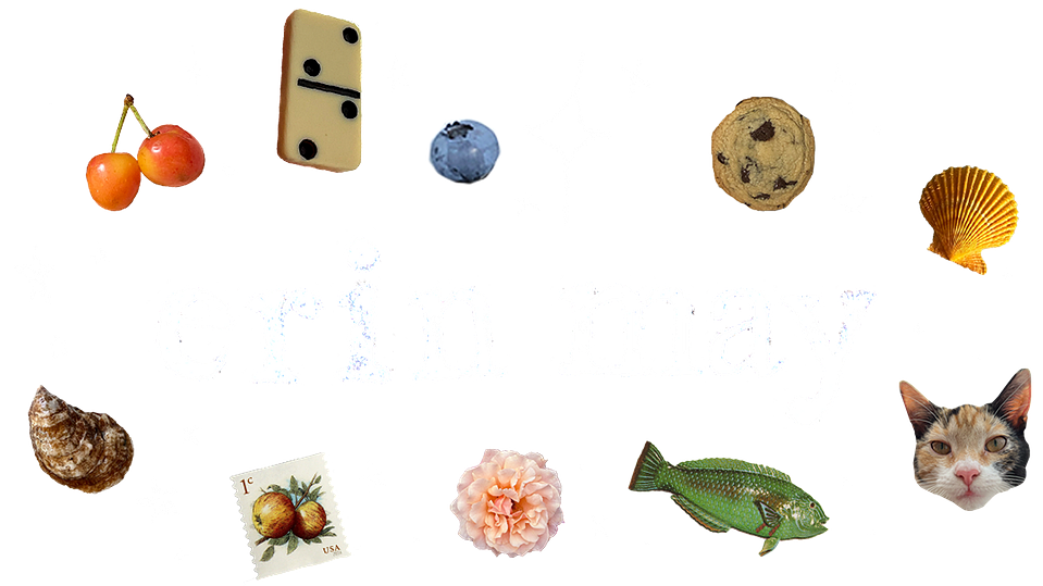 Erin May's Portfolio