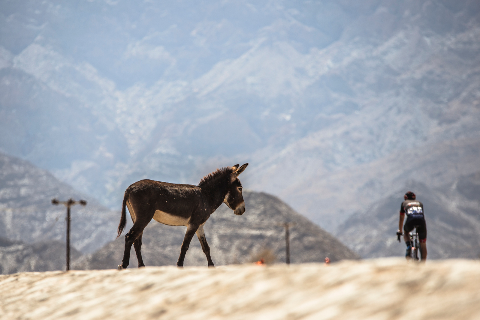 Stage 5: Yiti, Al Sifah - Ministry of Tourism, Muscat (119,5km)