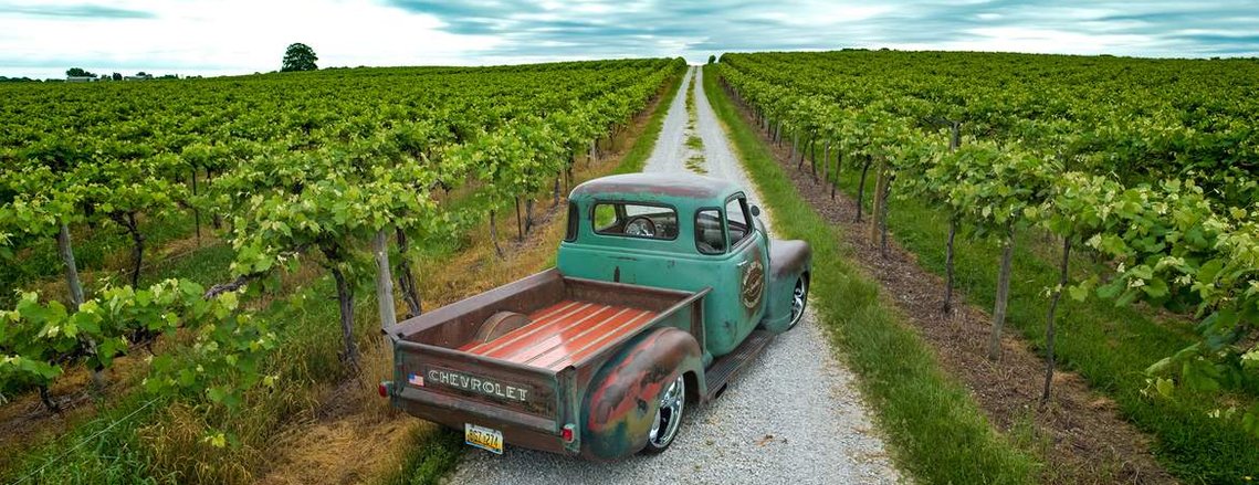 1953 Chevy Truck in the Grape Vineyards